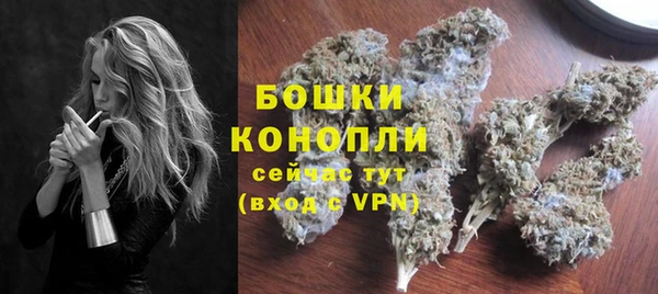 молекула духа Анива