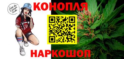 ешки Гатчина