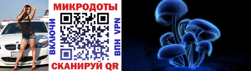 купить наркоту  kraken онион  Псилоцибиновые грибы Cubensis  Зеленогорск 