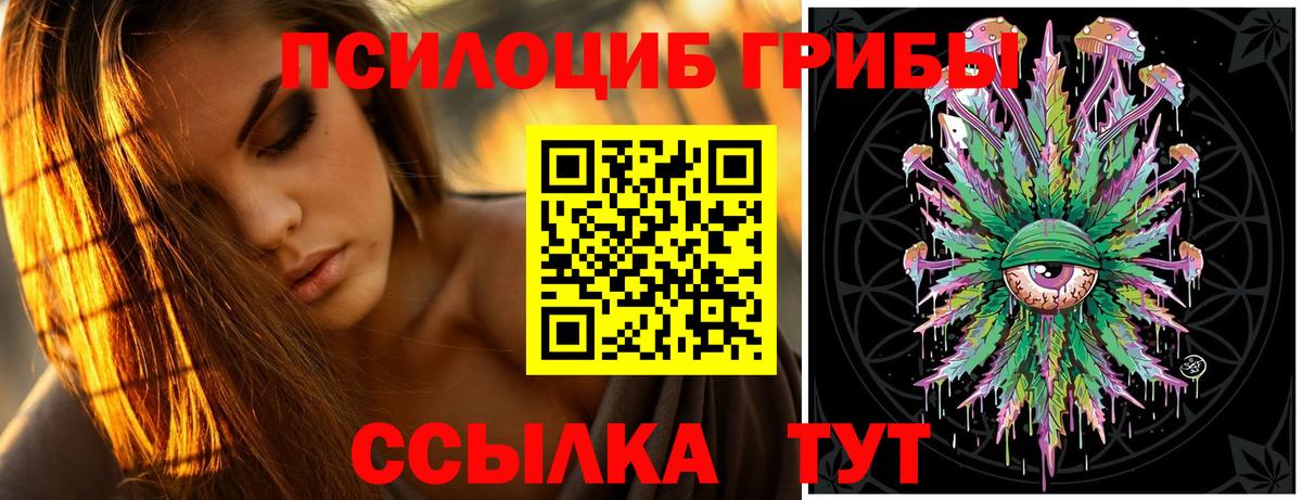 Псилоцибиновые грибы Cubensis Зеленогорск