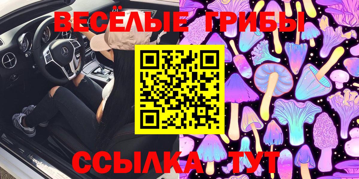 Галлюциногенные грибы Cubensis  сколько стоит  Зеленогорск 