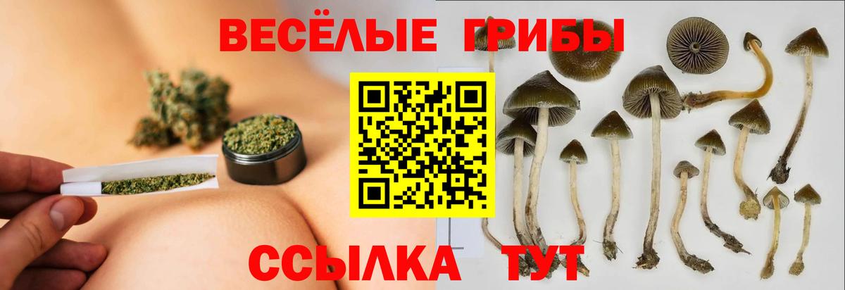 Галлюциногенные грибы прущие грибы  Вход с VPN  Зеленогорск 
